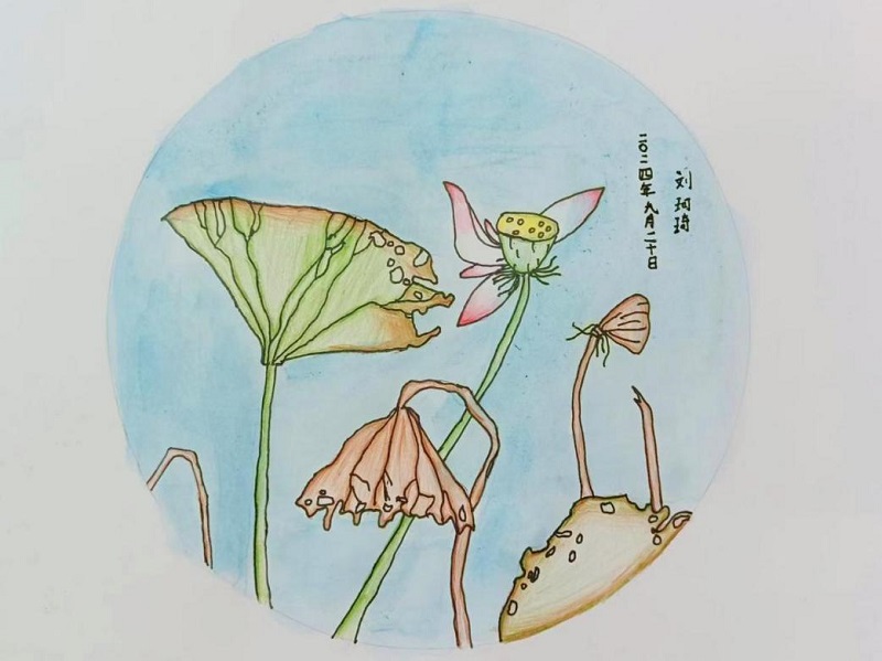 恒峰g22 - 官网入口 -- 每天有惊喜